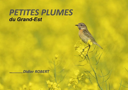 PETITES PLUMES DU GRAND-EST