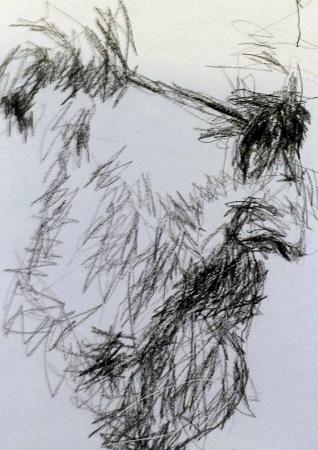 Charles Lemaire (Charles LEMAIRE)